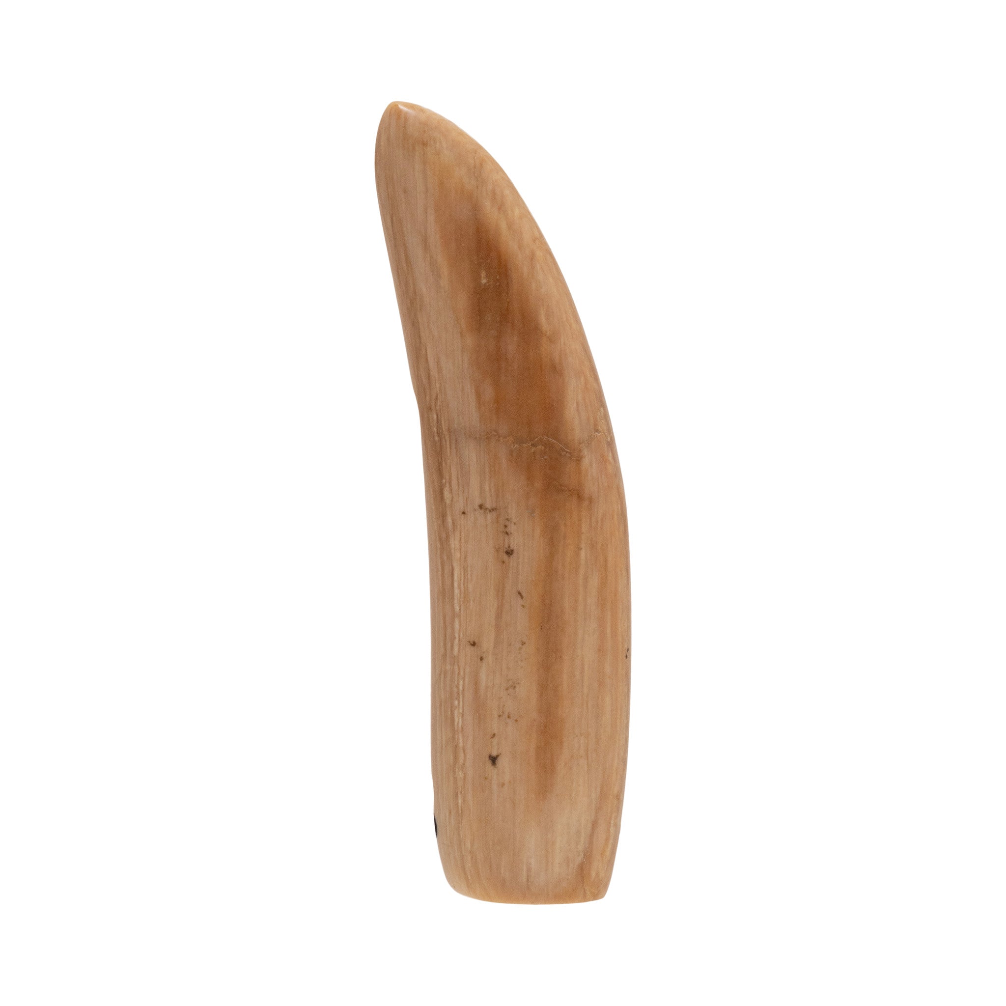 Pair Inuit Walrus Ivory Billikens