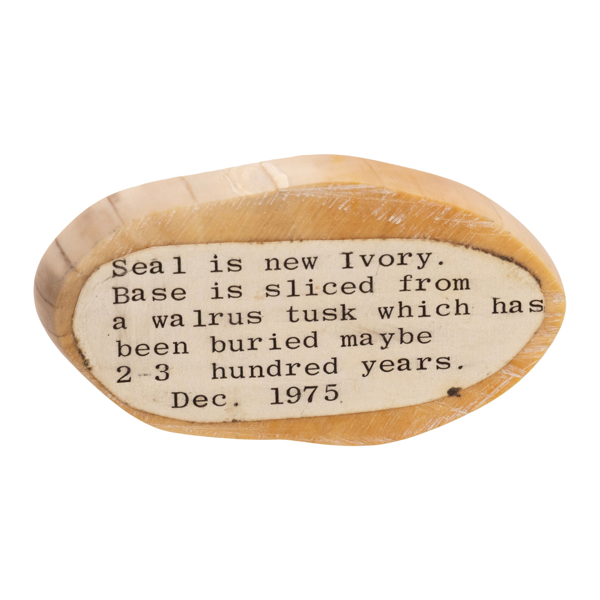 Inuit Carved Walrus Ivory Seal