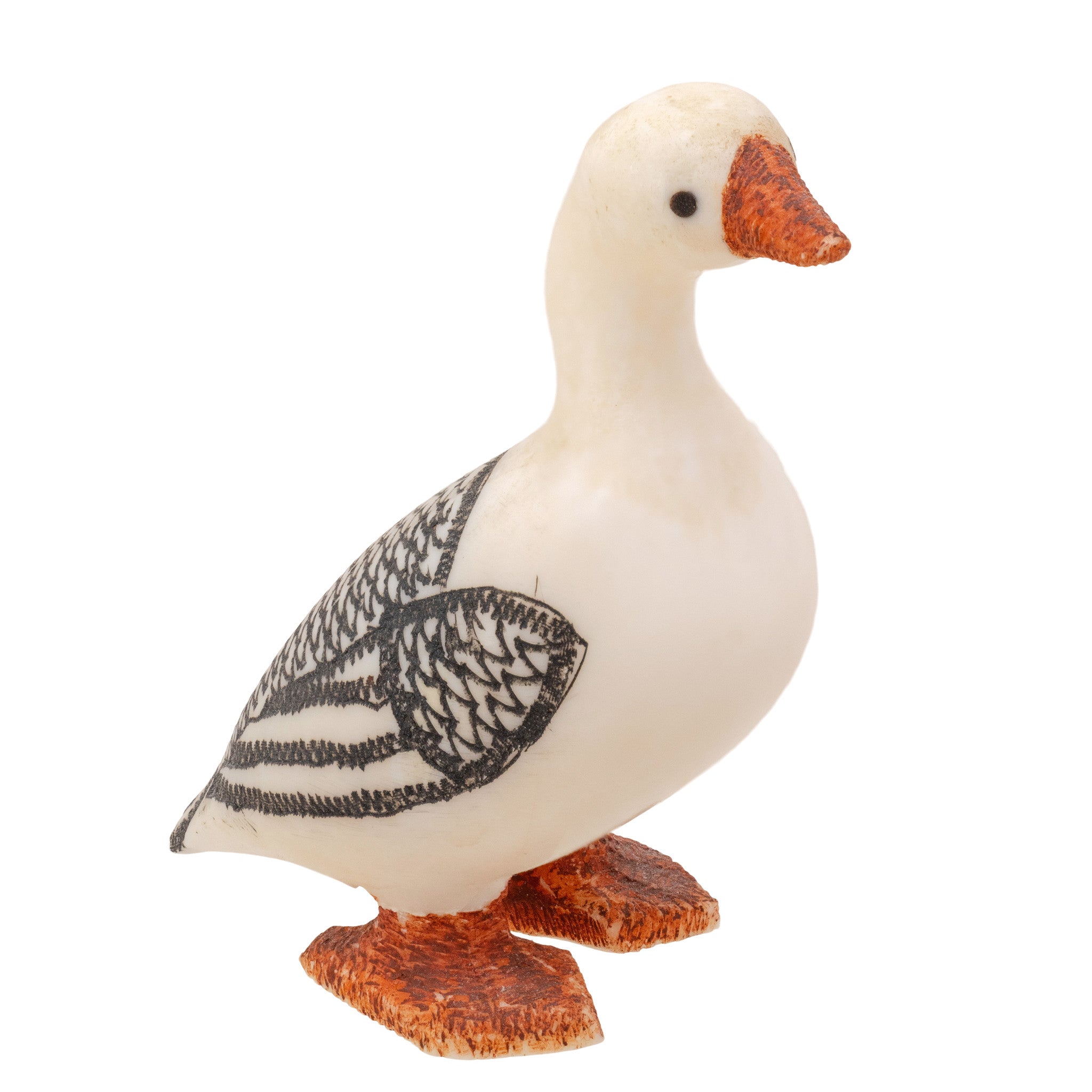 Inuit Carved Walrus Eider, Native, Carving, Ivory