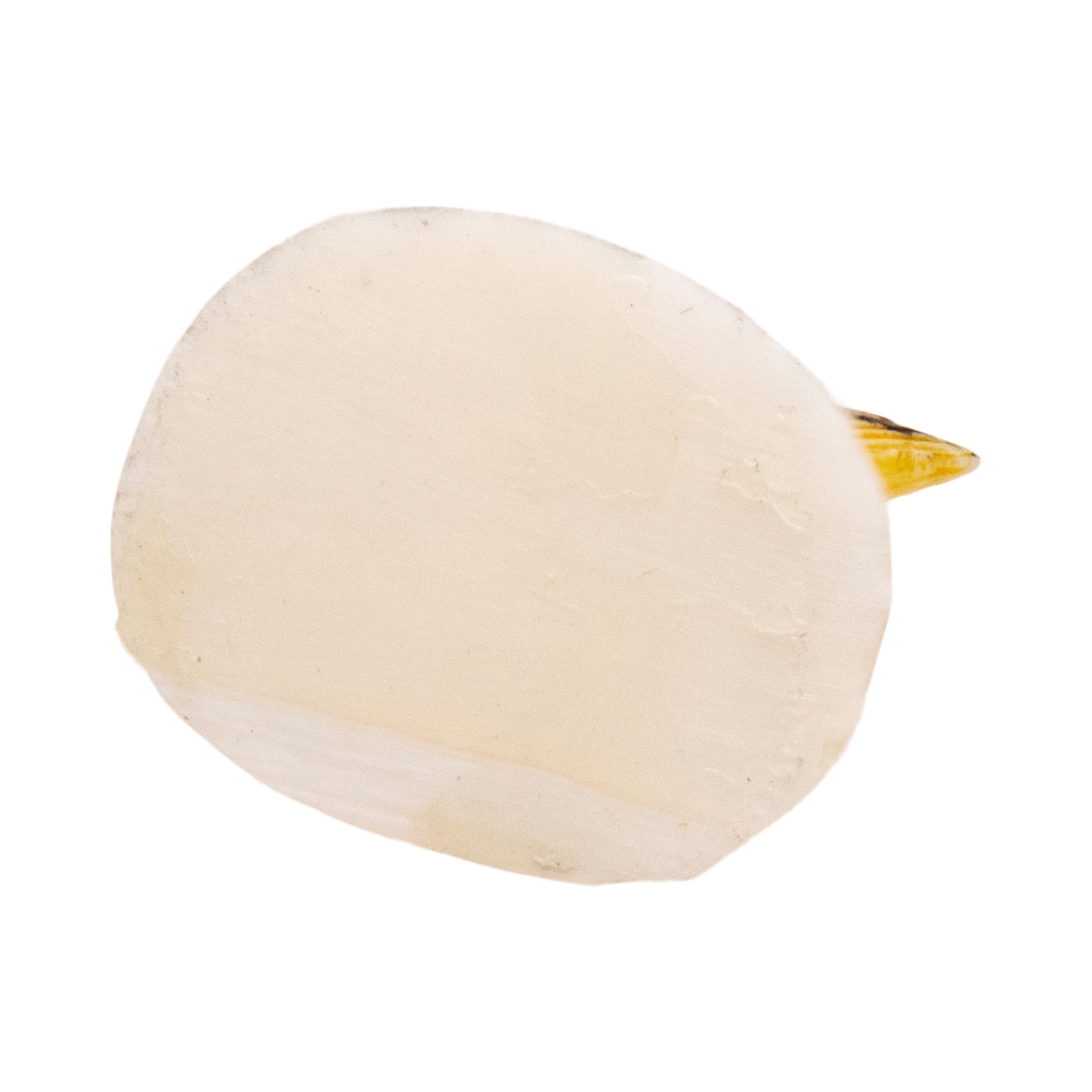 Inuit Carved Eagle Head