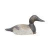Evans Canvasback Drake Decoy