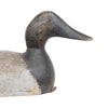 Evans Canvasback Drake Decoy