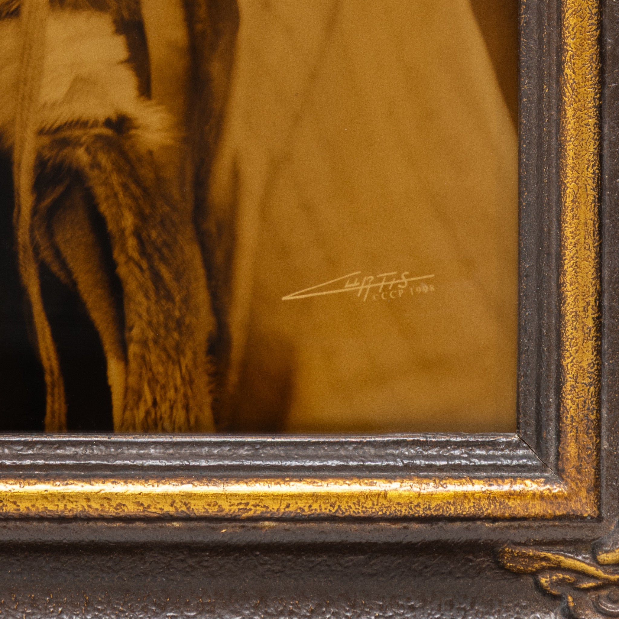 "Chief Joseph" E.S. Curtis Gold Tone