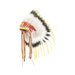 Sioux Style Headdress, Native, Inspired Art, Head Piece