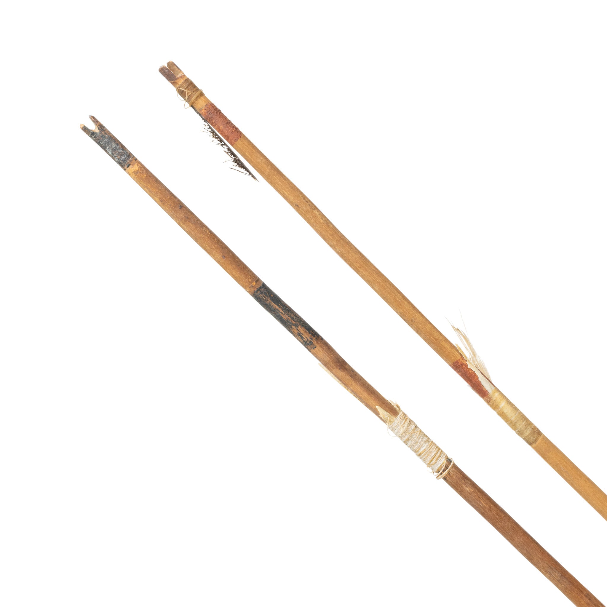 Southern Plans Bow and Quiver