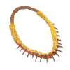 Sioux Bear Claw Necklace