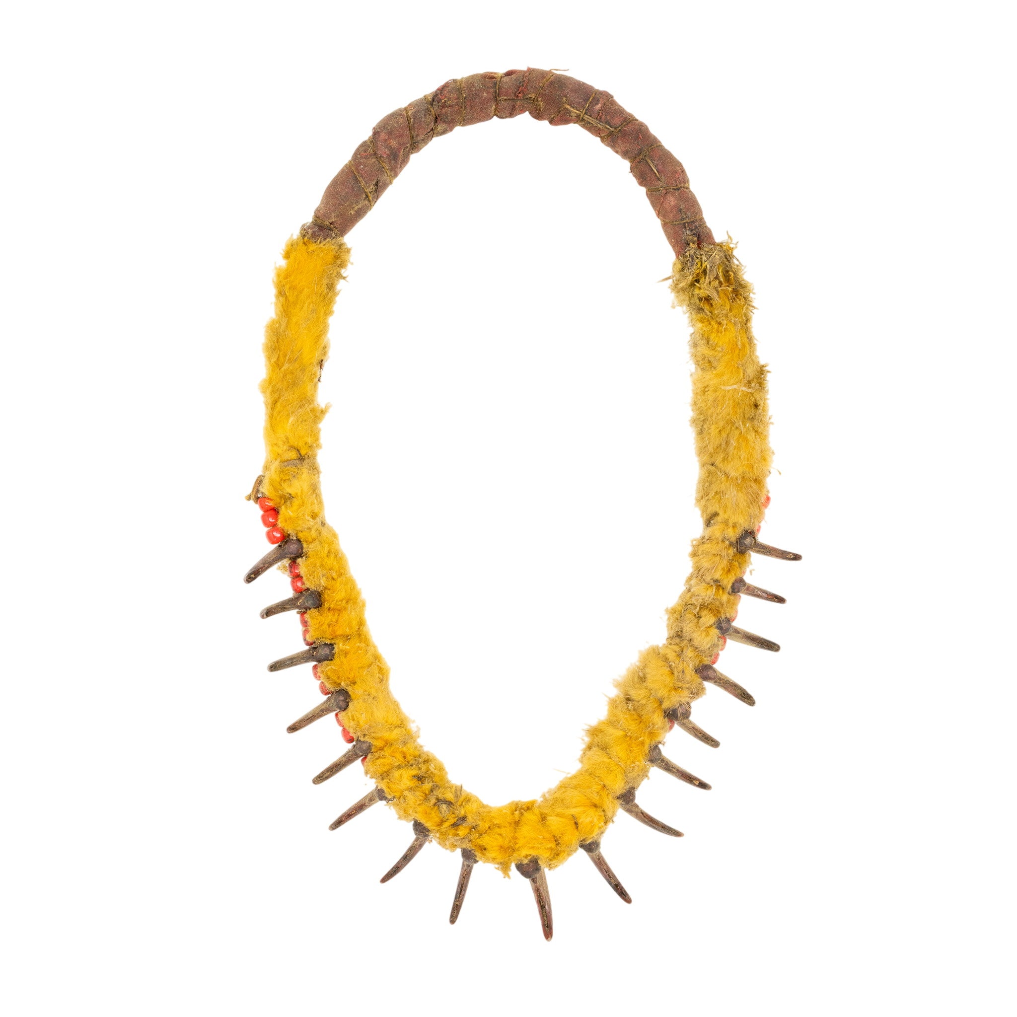 Sioux Bear Claw Necklace
