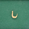 Prehistoric Native Bone Fishhook