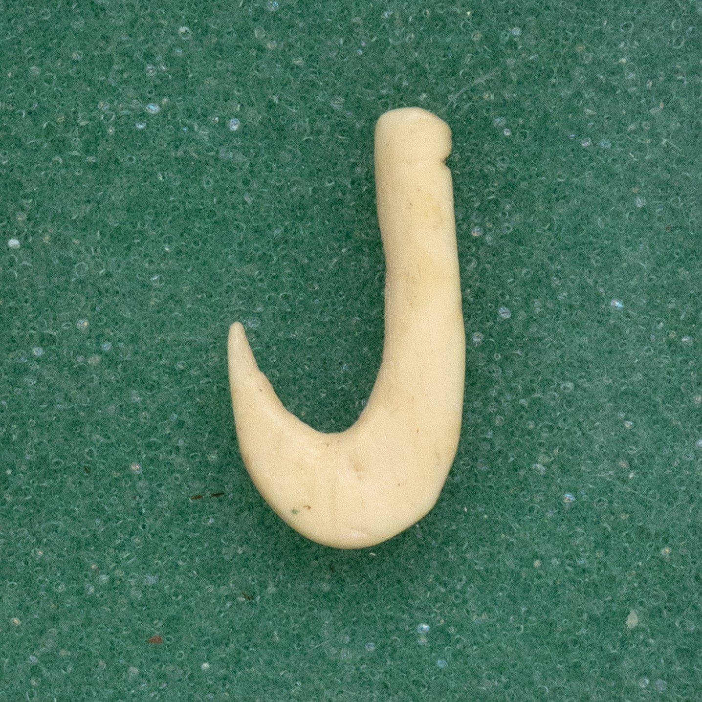 Pair of Prehistoric Native Bone Fishhooks