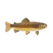 Spear Fishing Decoy, Sporting Goods, Fishing, Decoy