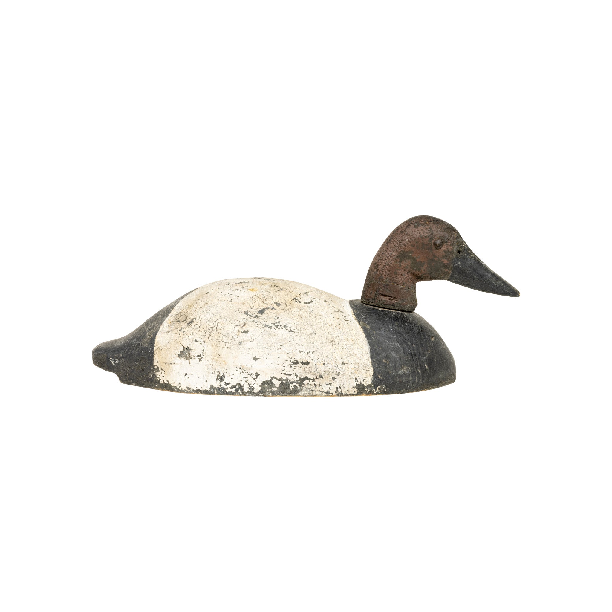 Drake Canvasback Decoy