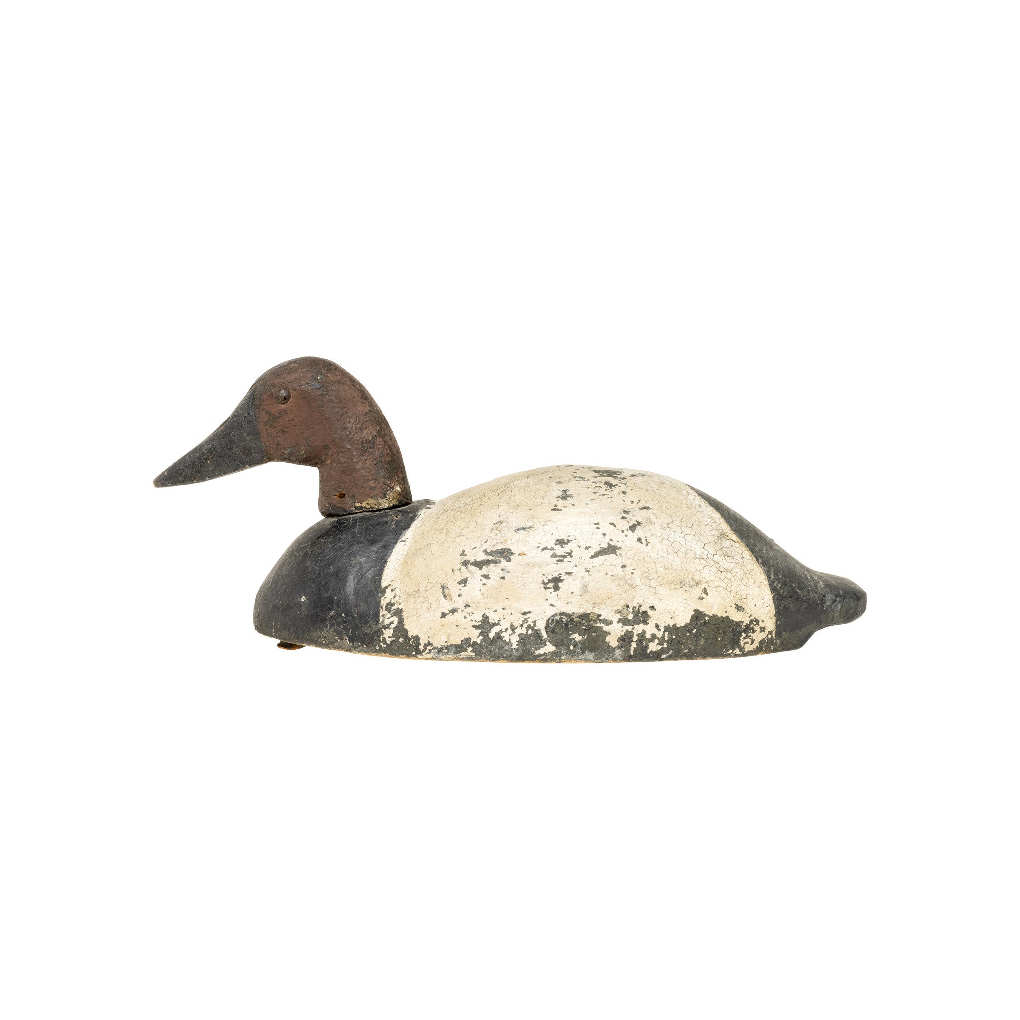 Drake Canvasback Decoy