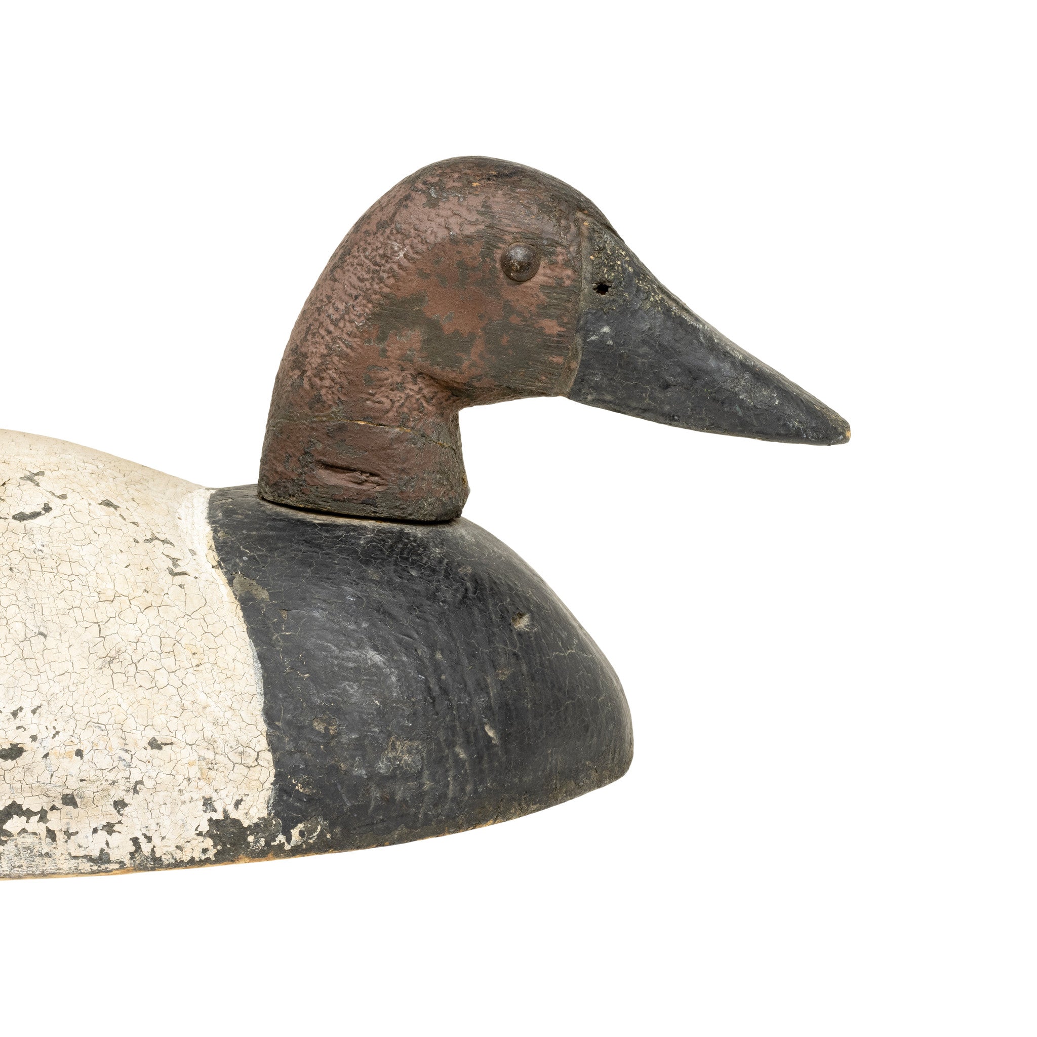 Drake Canvasback Decoy