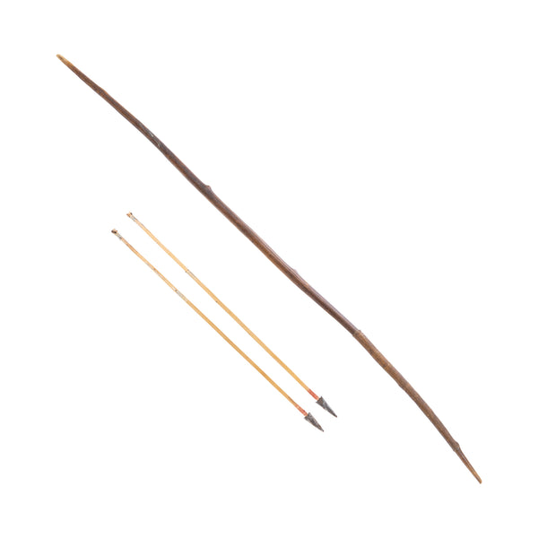 Cheyenne Bow and Arrows, Native, Weapon, Bow