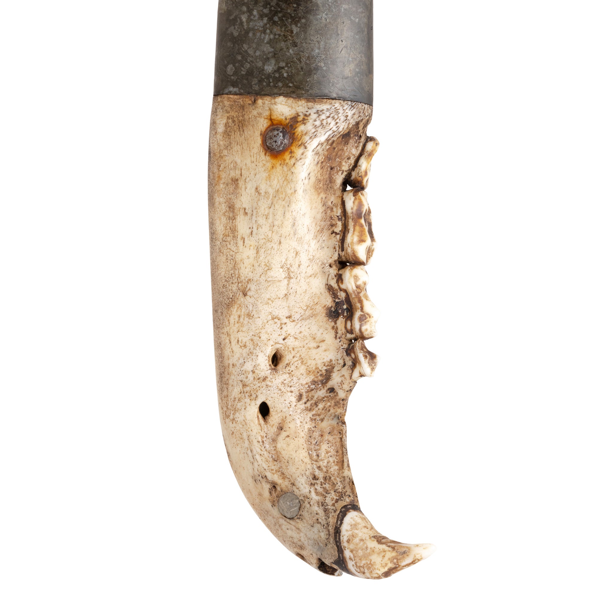 Wolf Jaw Dag Knife