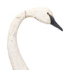 Carved Wood Swan Decoy