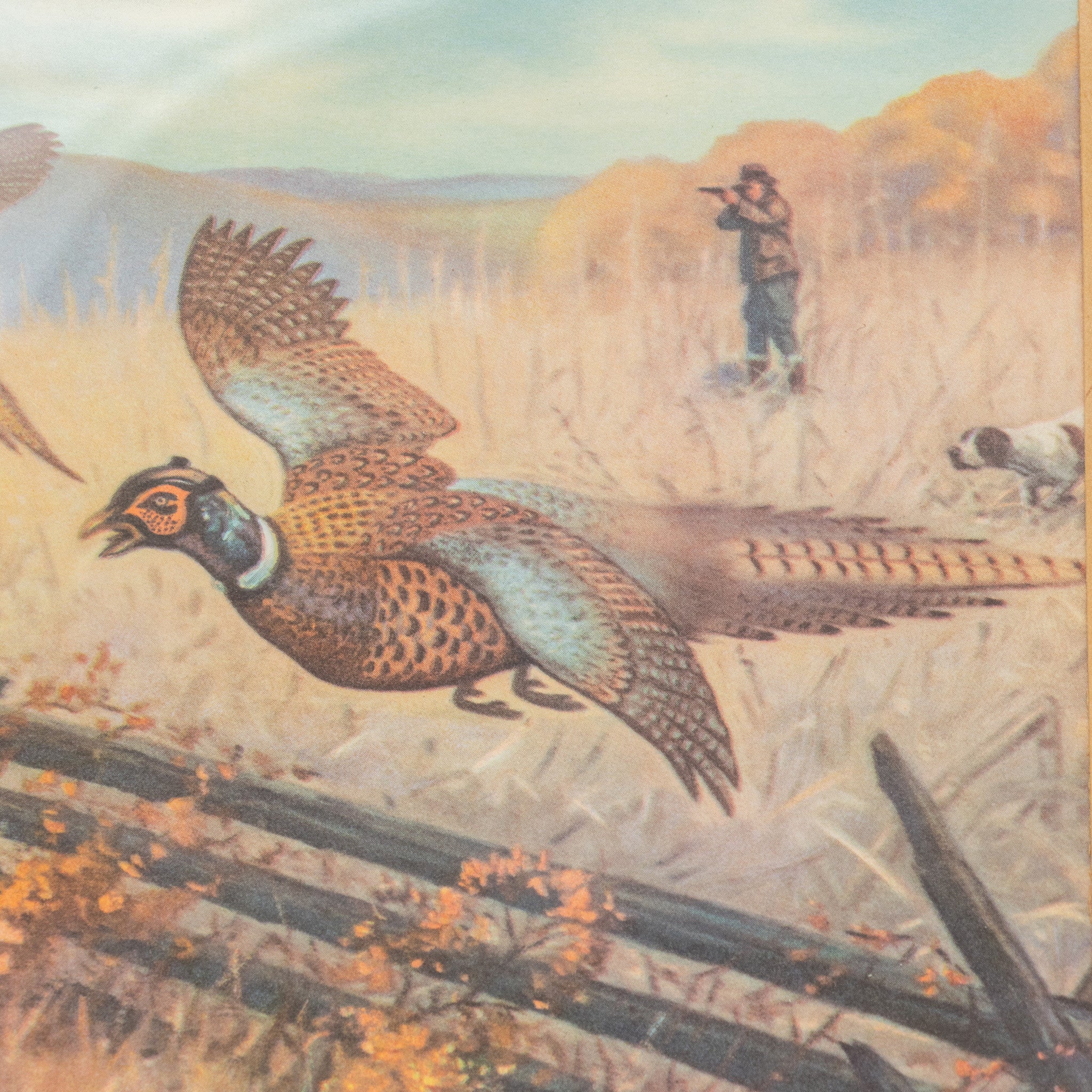 Sporting Calendar Print