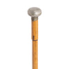 Brevette Blow Dart Cane