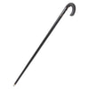 Cane Gun