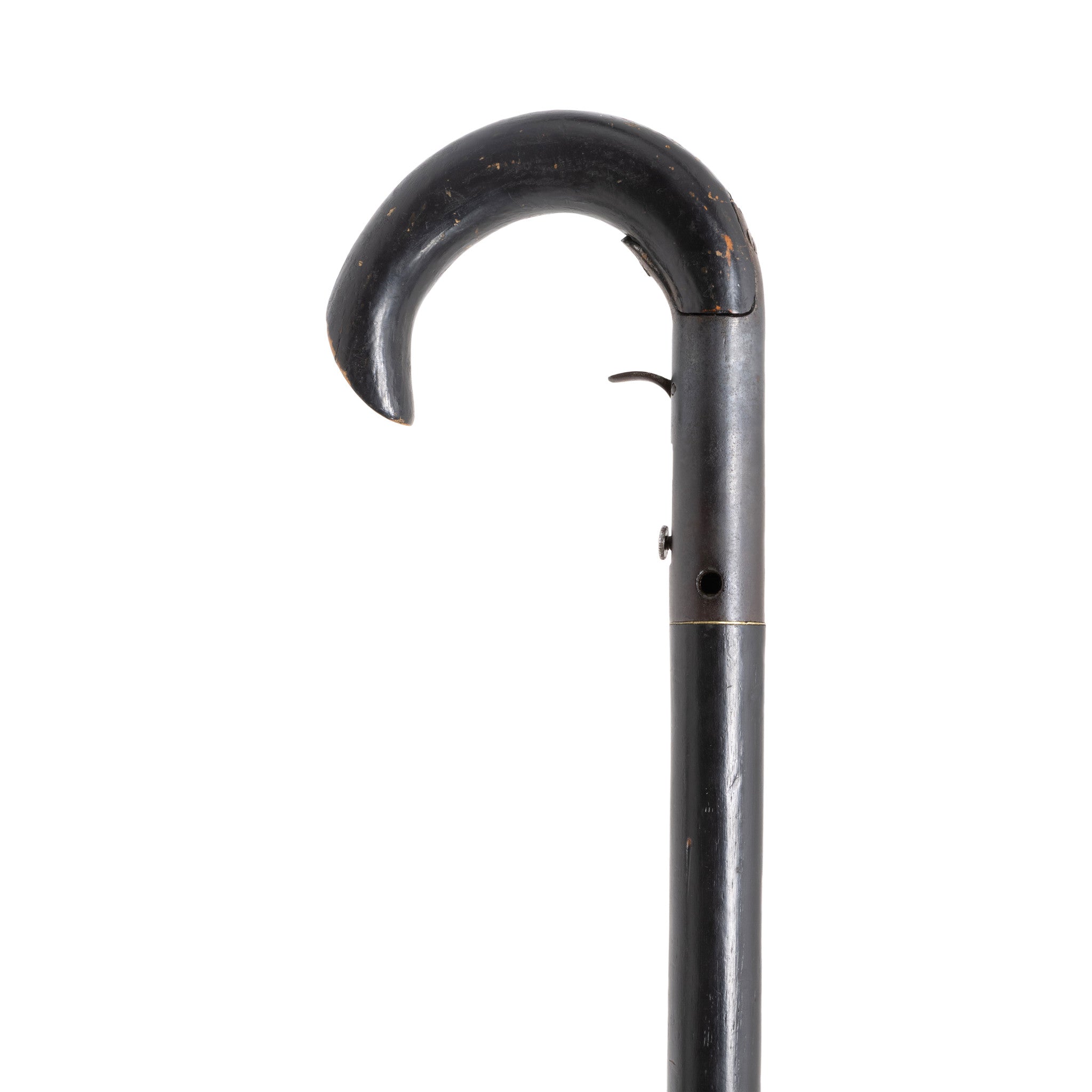 Cane Gun