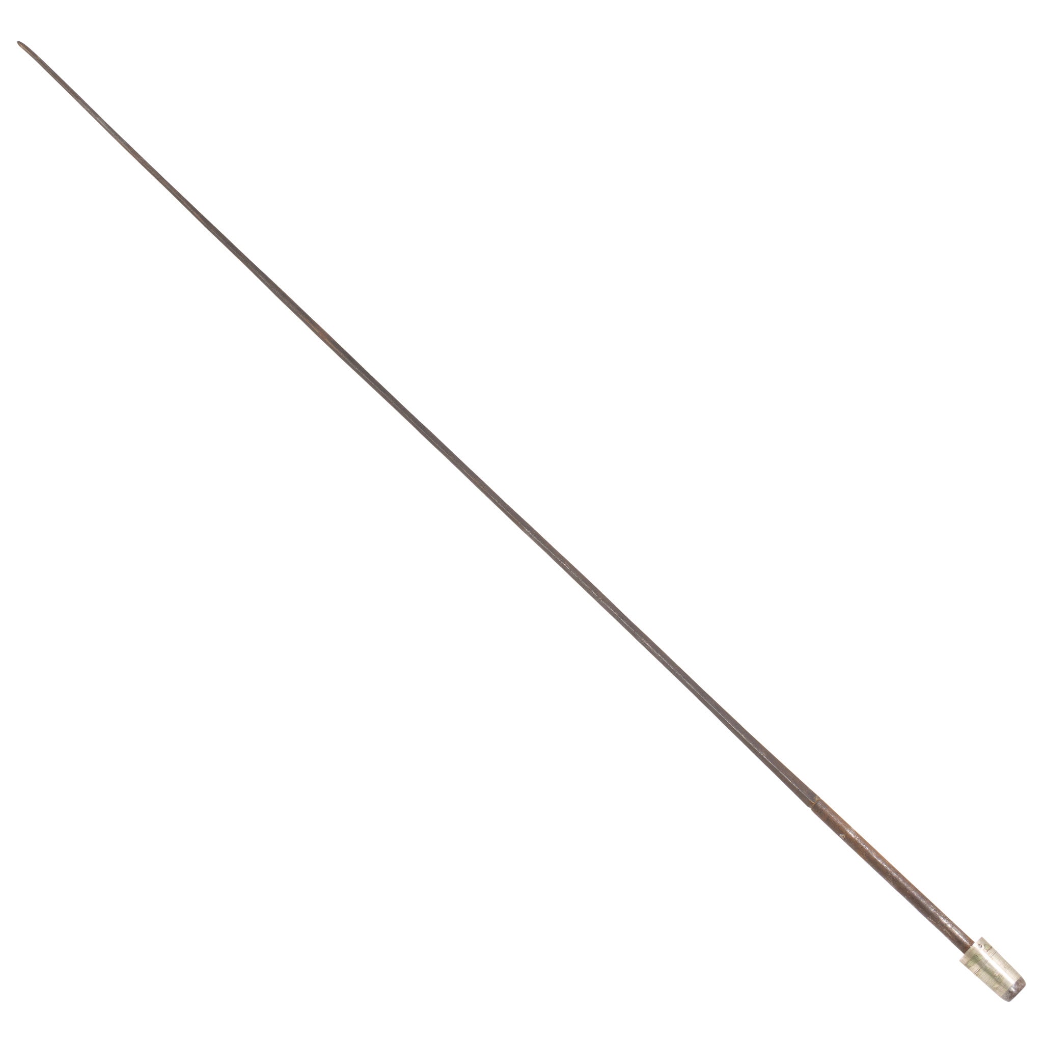 Cane Gun