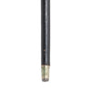Cane Gun