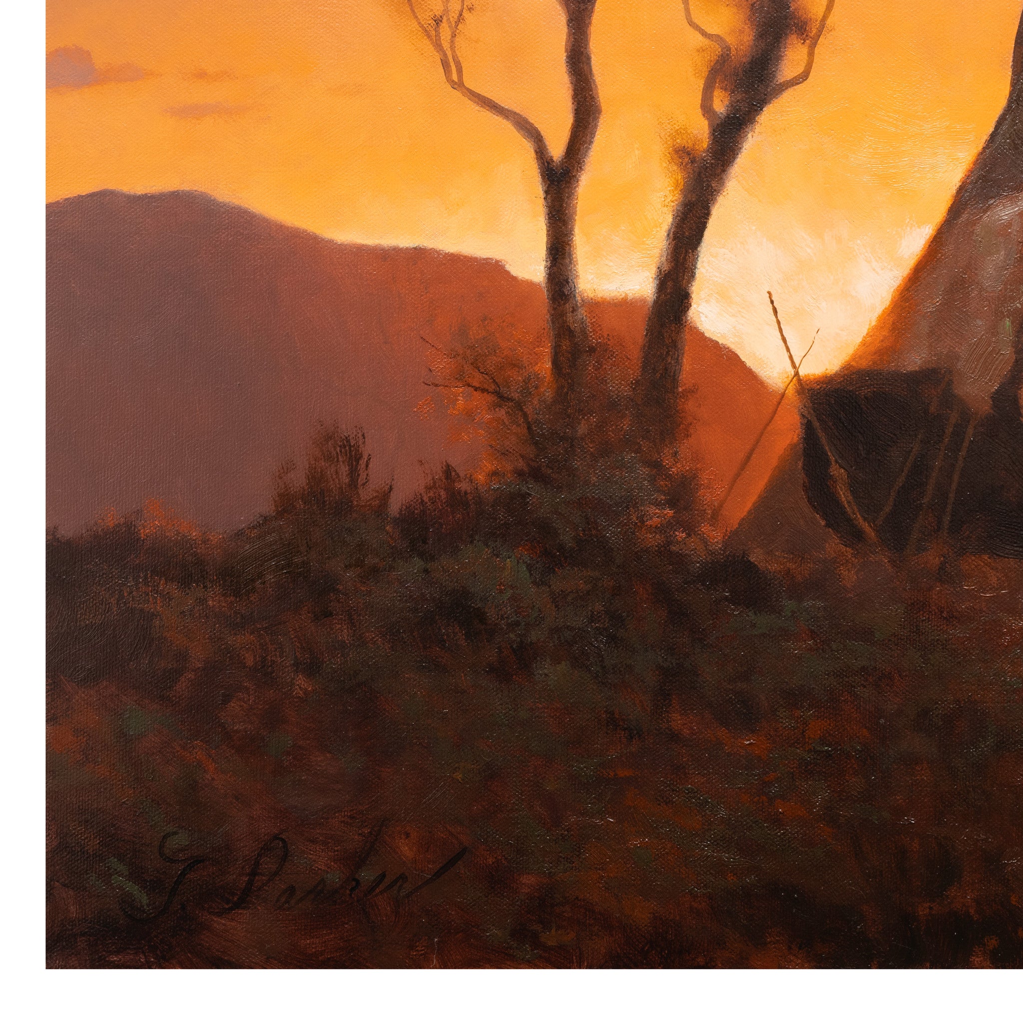 Last Light in the Homeland by Greg Parker