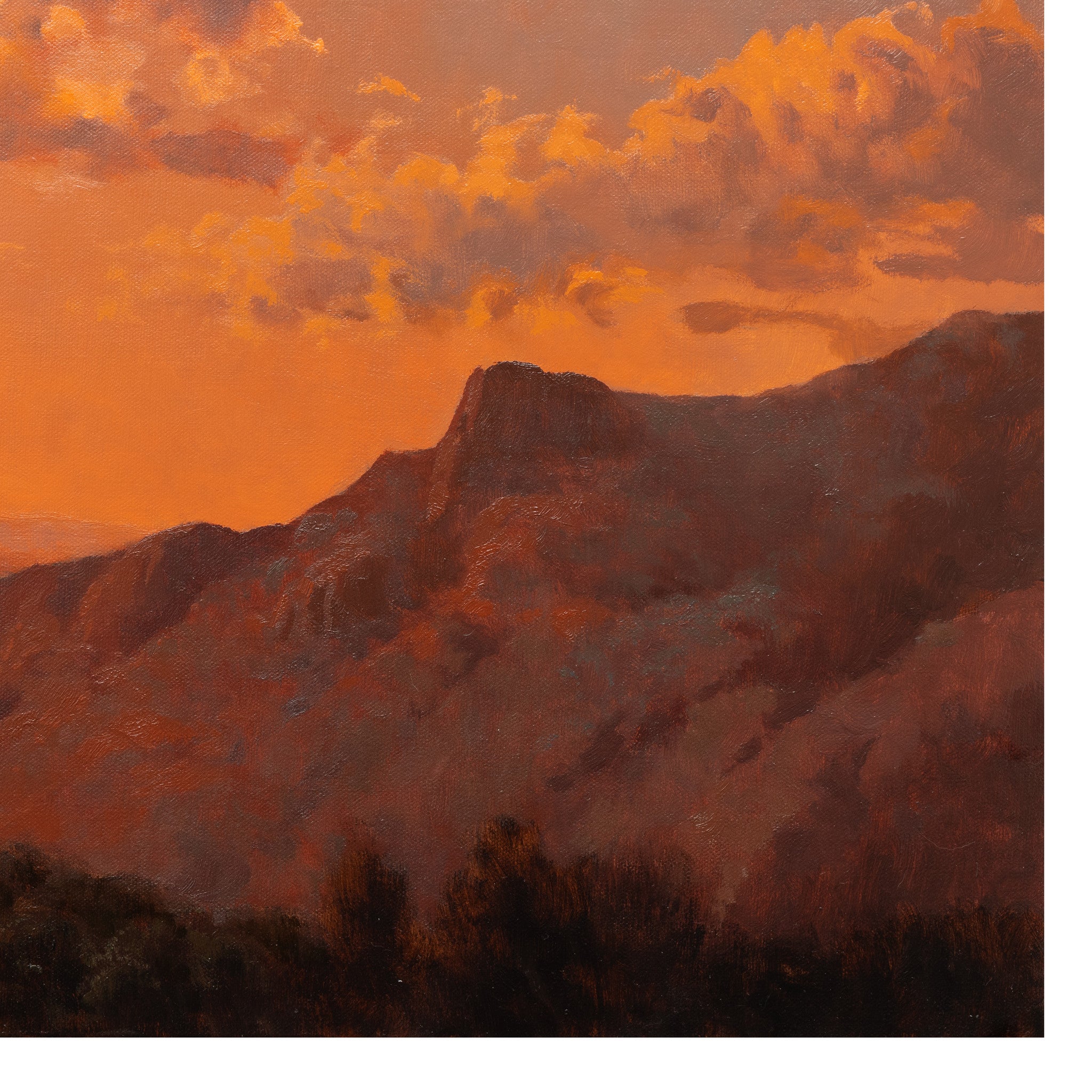 Last Light in the Homeland by Greg Parker