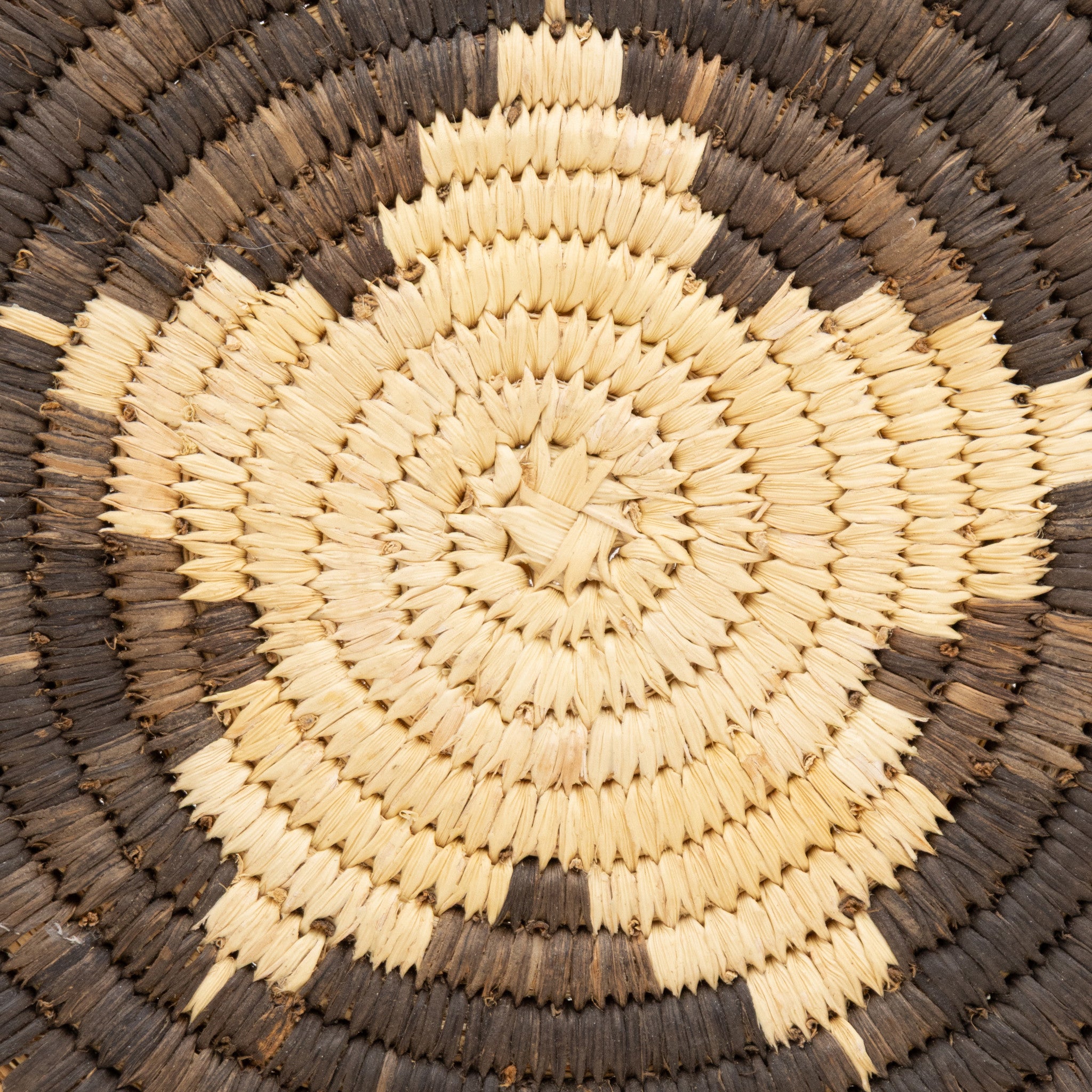 Papago Baskets