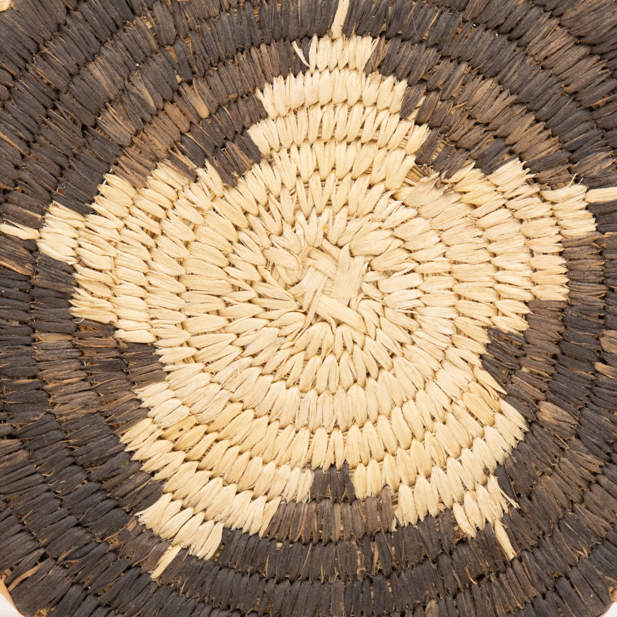 Papago Baskets