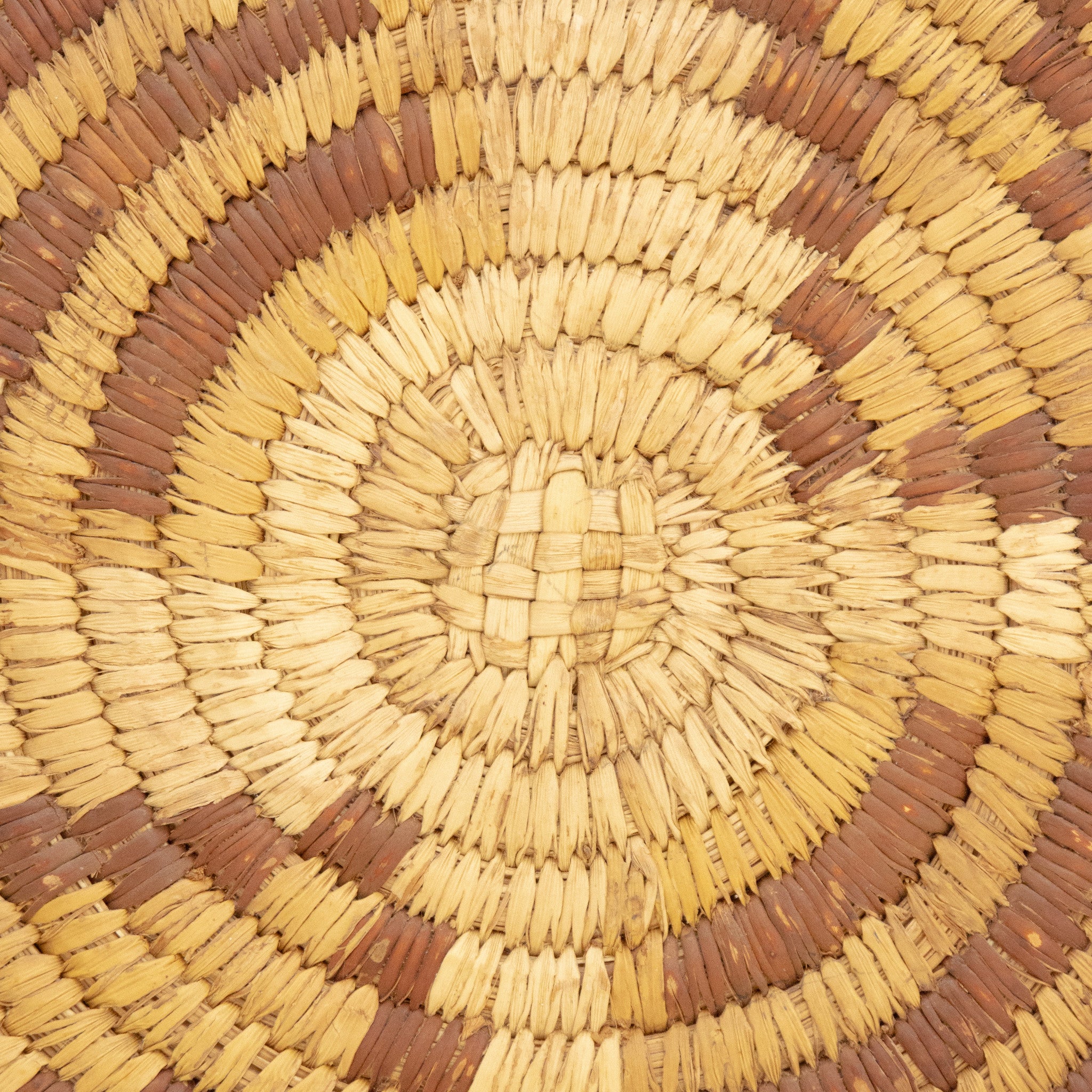 Papago Baskets