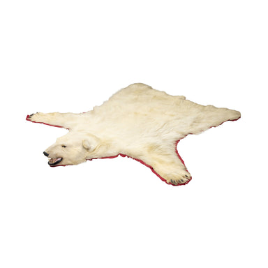 Polar Bear Rug, Furnishings, Taxidermy, Bear