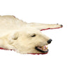 Polar Bear Rug