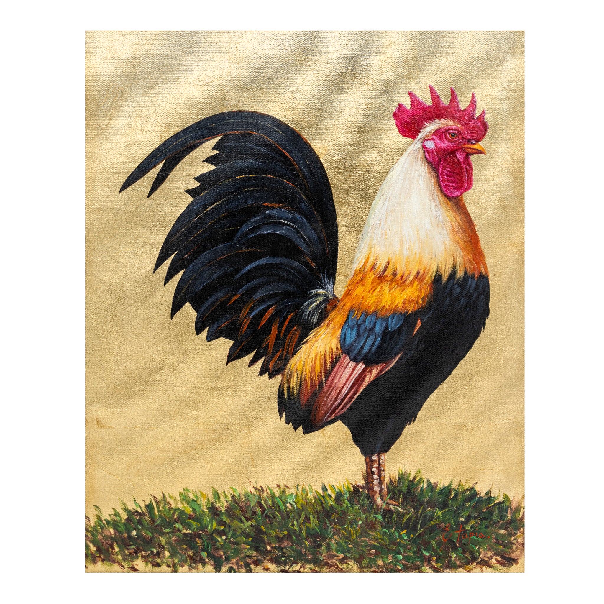 Rooster by E. Tapia, Fine Art, Painting, 