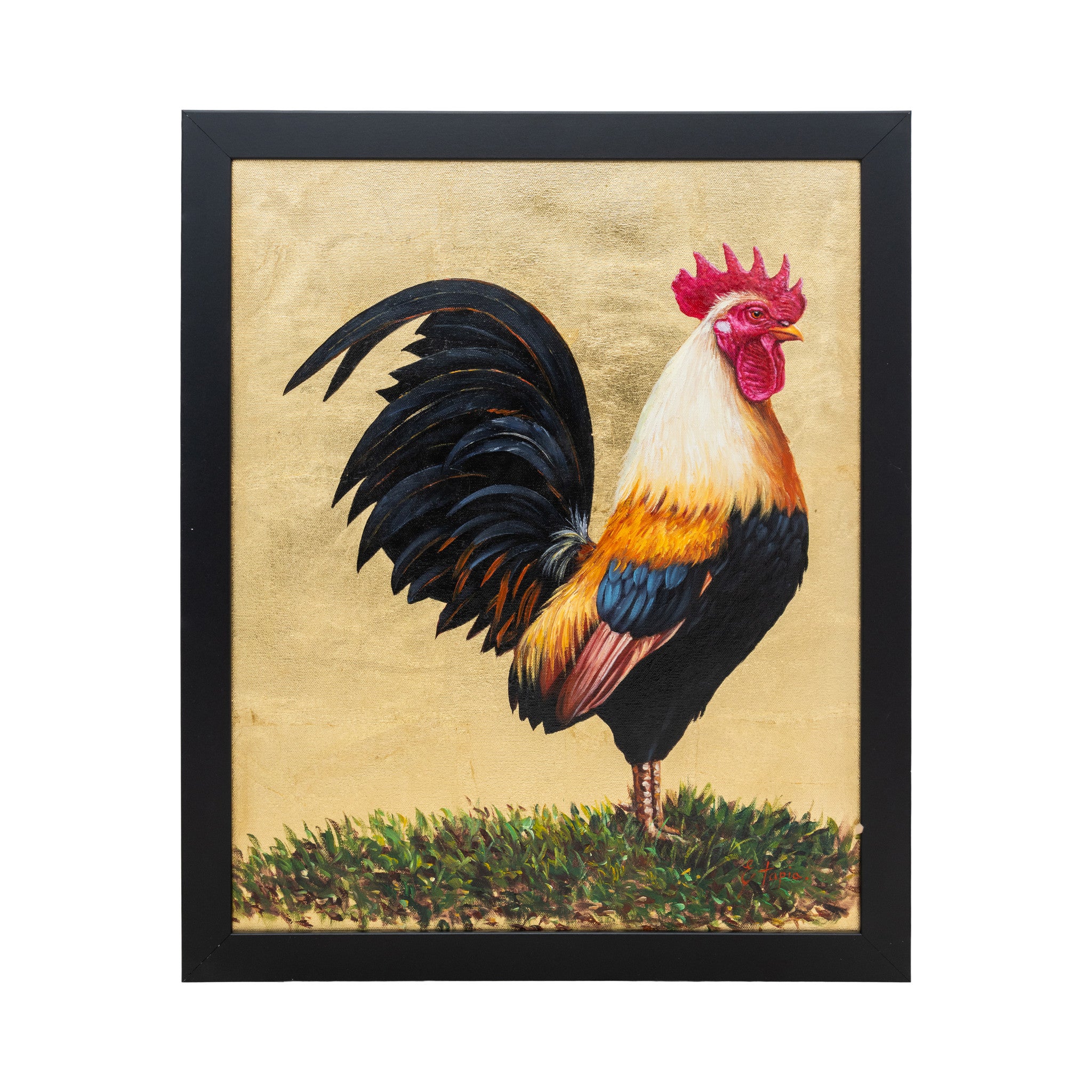 Rooster by E. Tapia