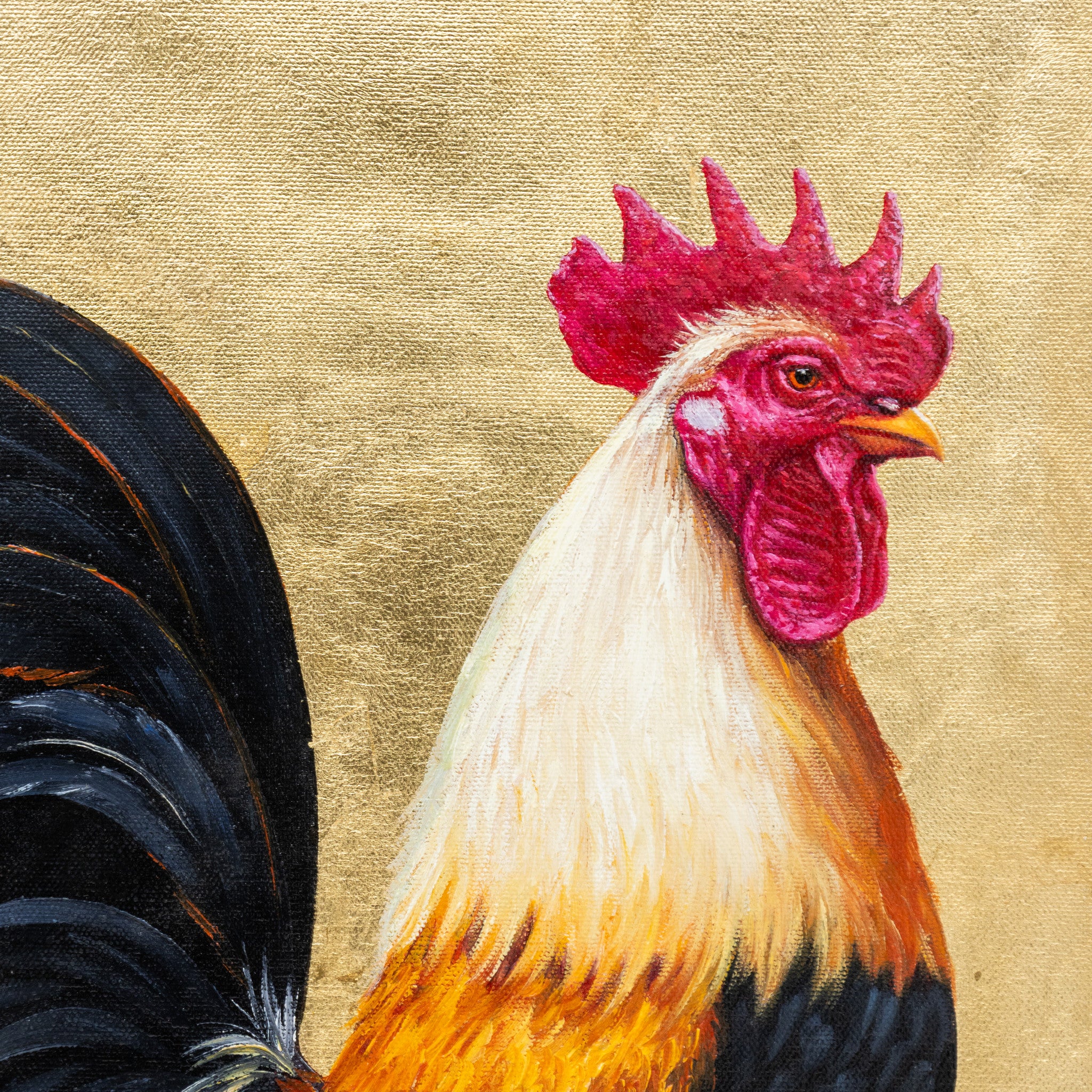 Rooster by E. Tapia