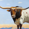Longhorn by E. Tapia