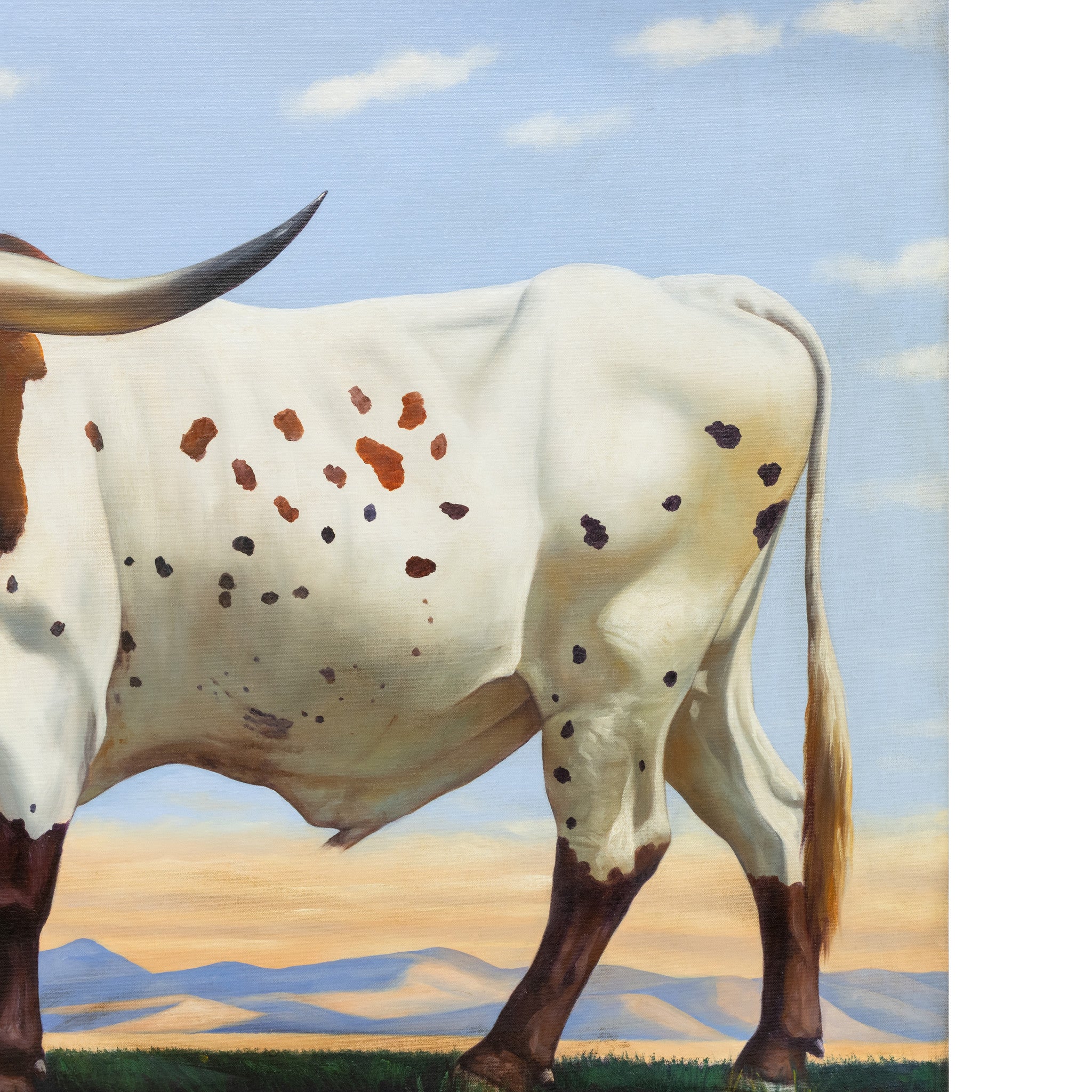 Longhorn by E. Tapia