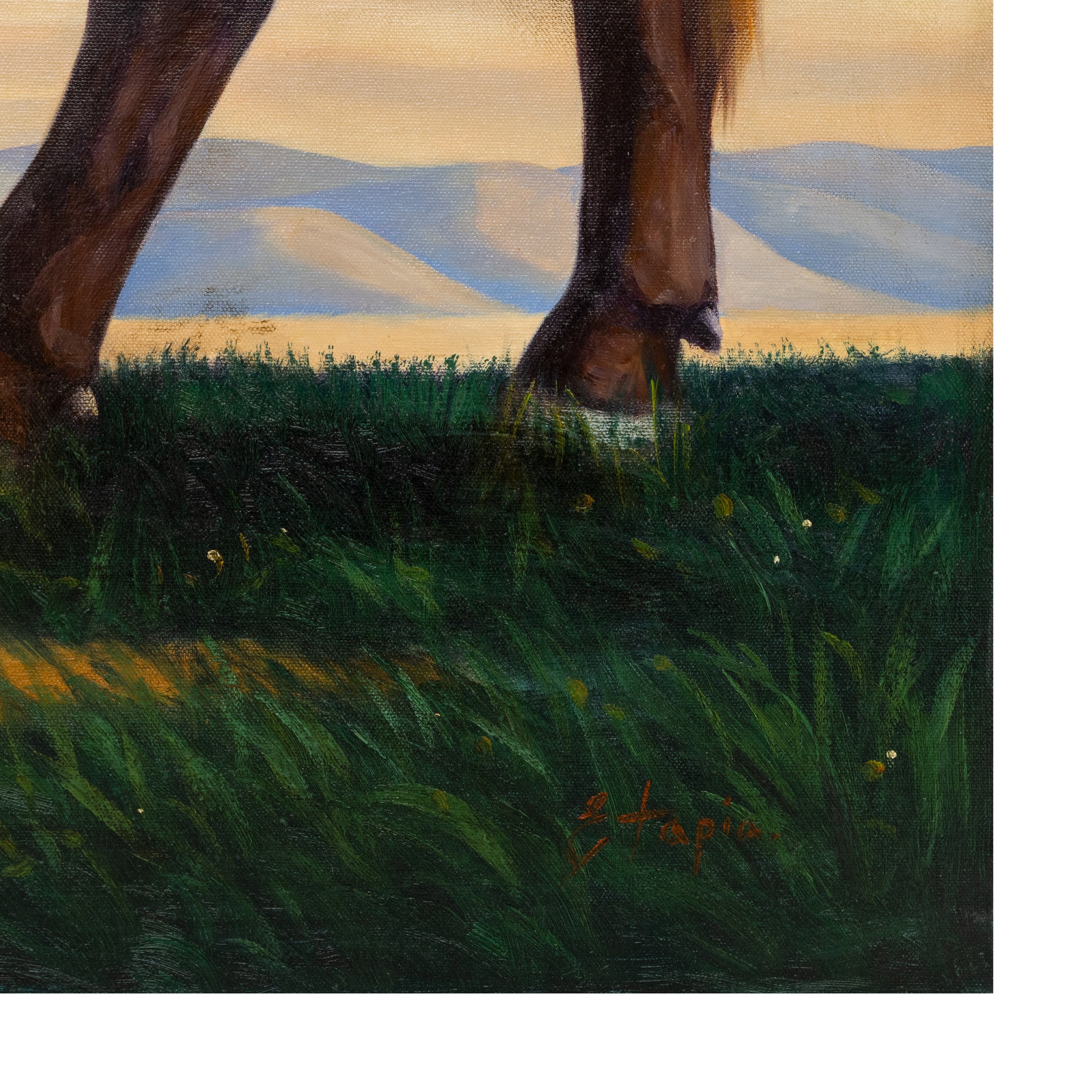Longhorn by E. Tapia