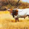 Longhorn by E. Tapia