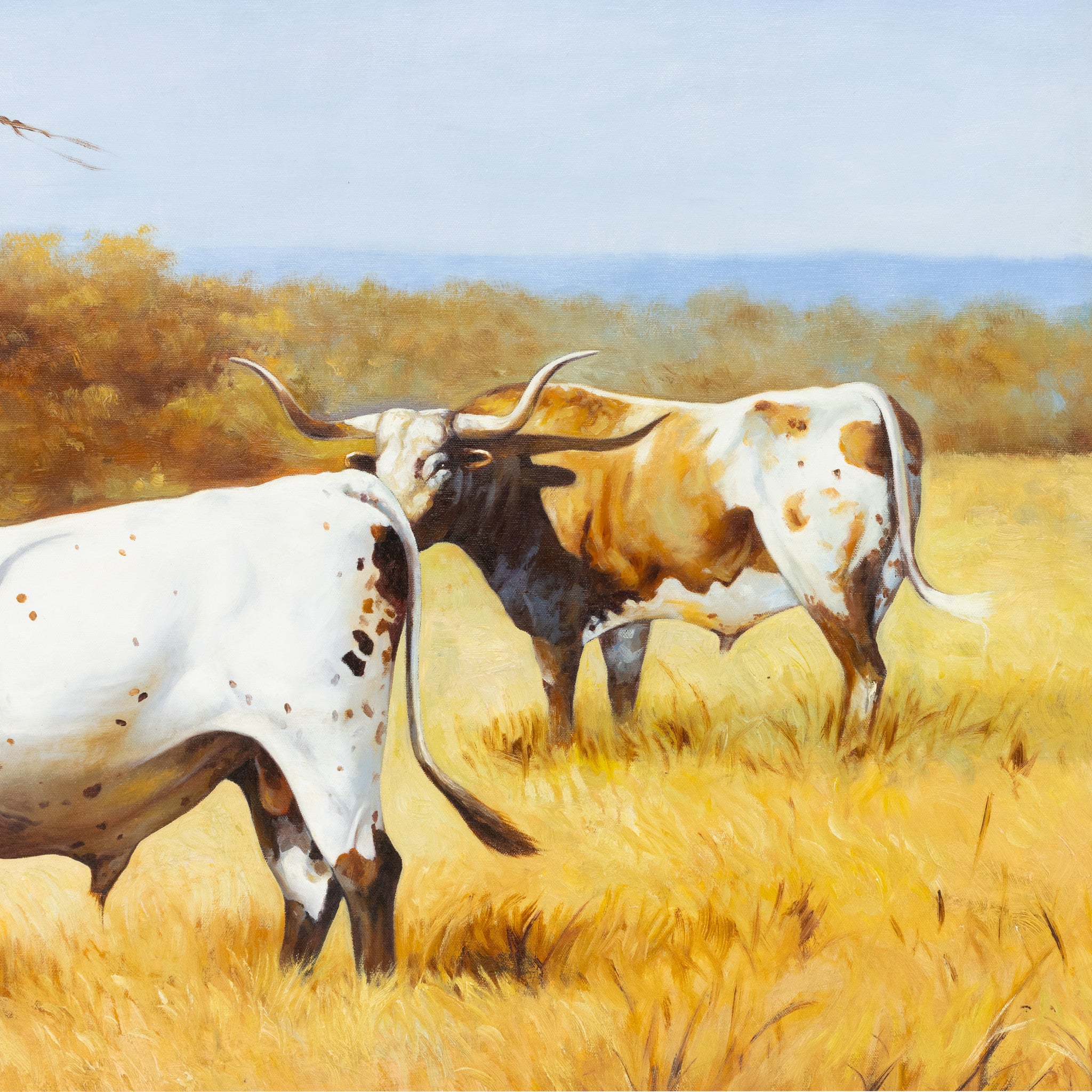 Longhorn by E. Tapia