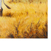 Longhorn by E. Tapia