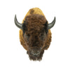 Wyoming Buffalo Mount