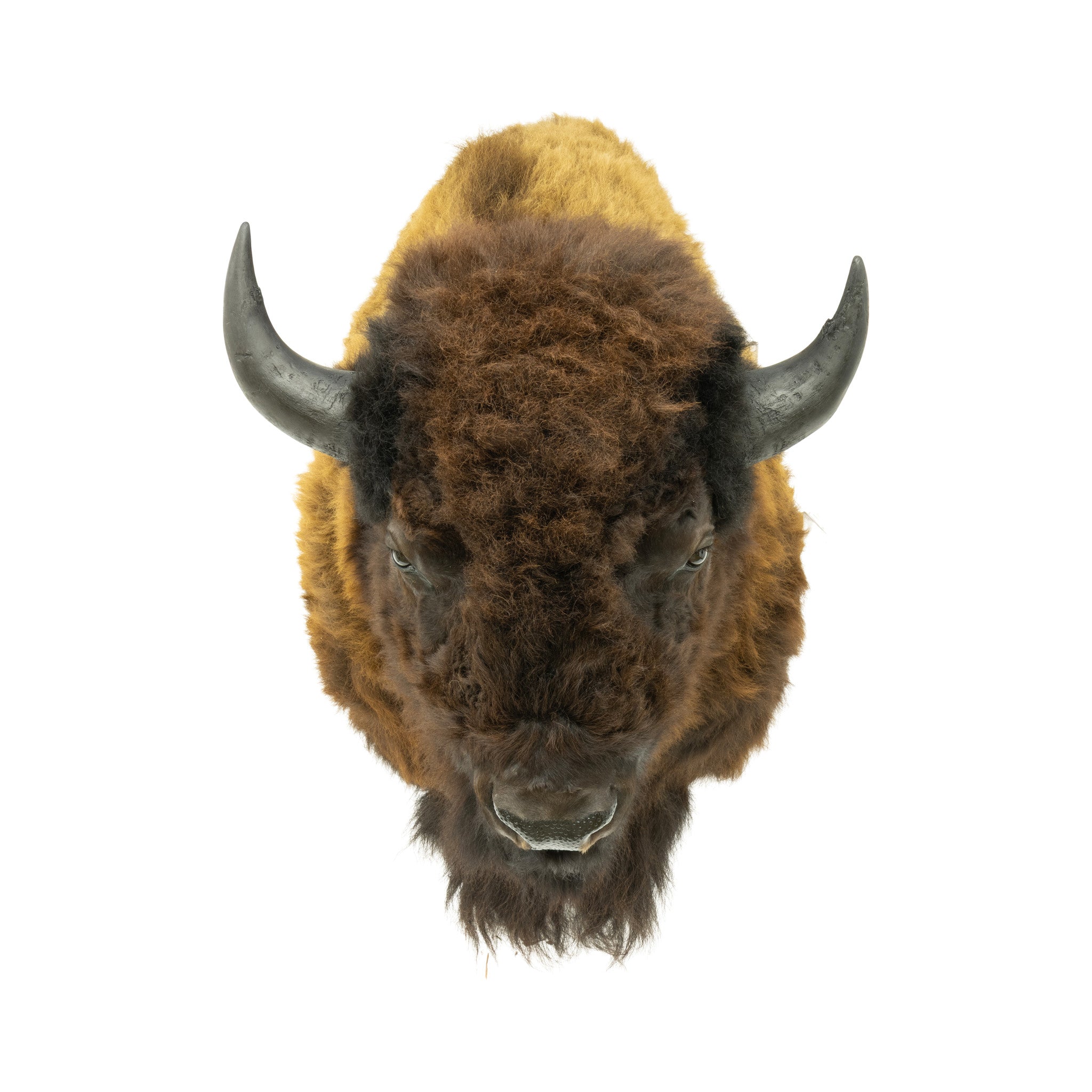 Wyoming Buffalo Mount