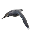 Flying Raven Decoy by Mike Borrett