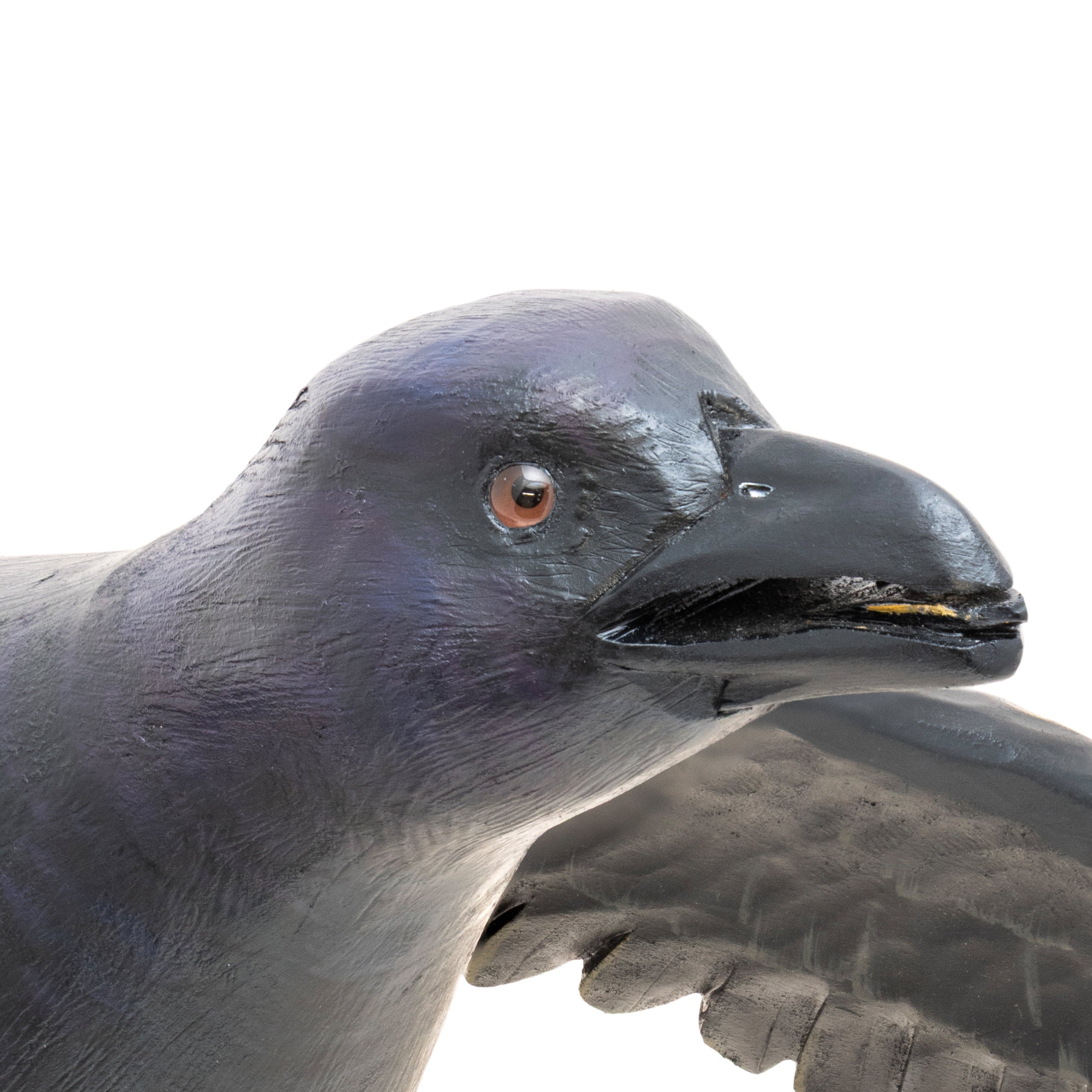 Flying Raven Decoy by Mike Borrett