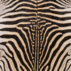 A Grade Zebra Rug