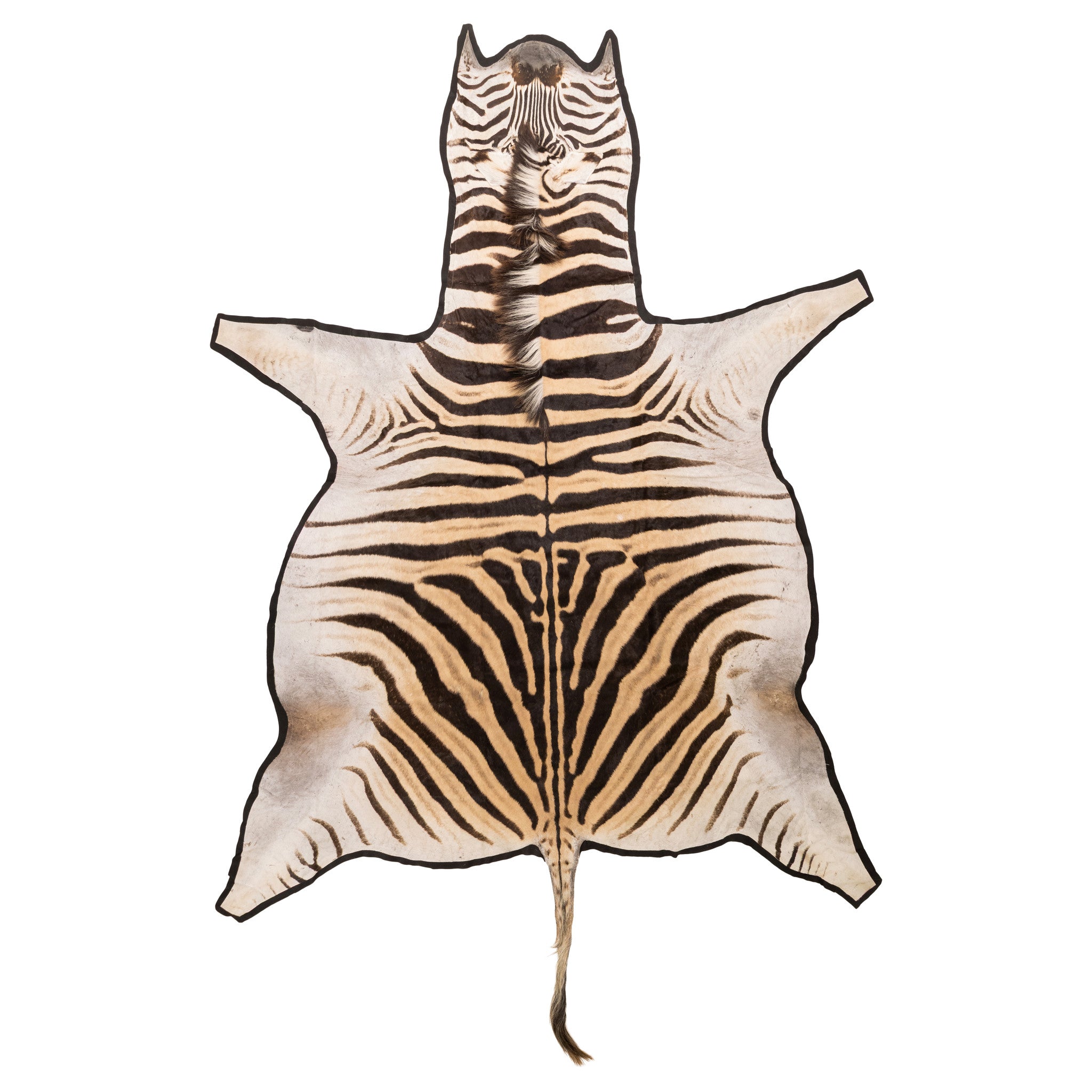 A Grade Zebra Rug, Furnishings, Taxidermy, Other