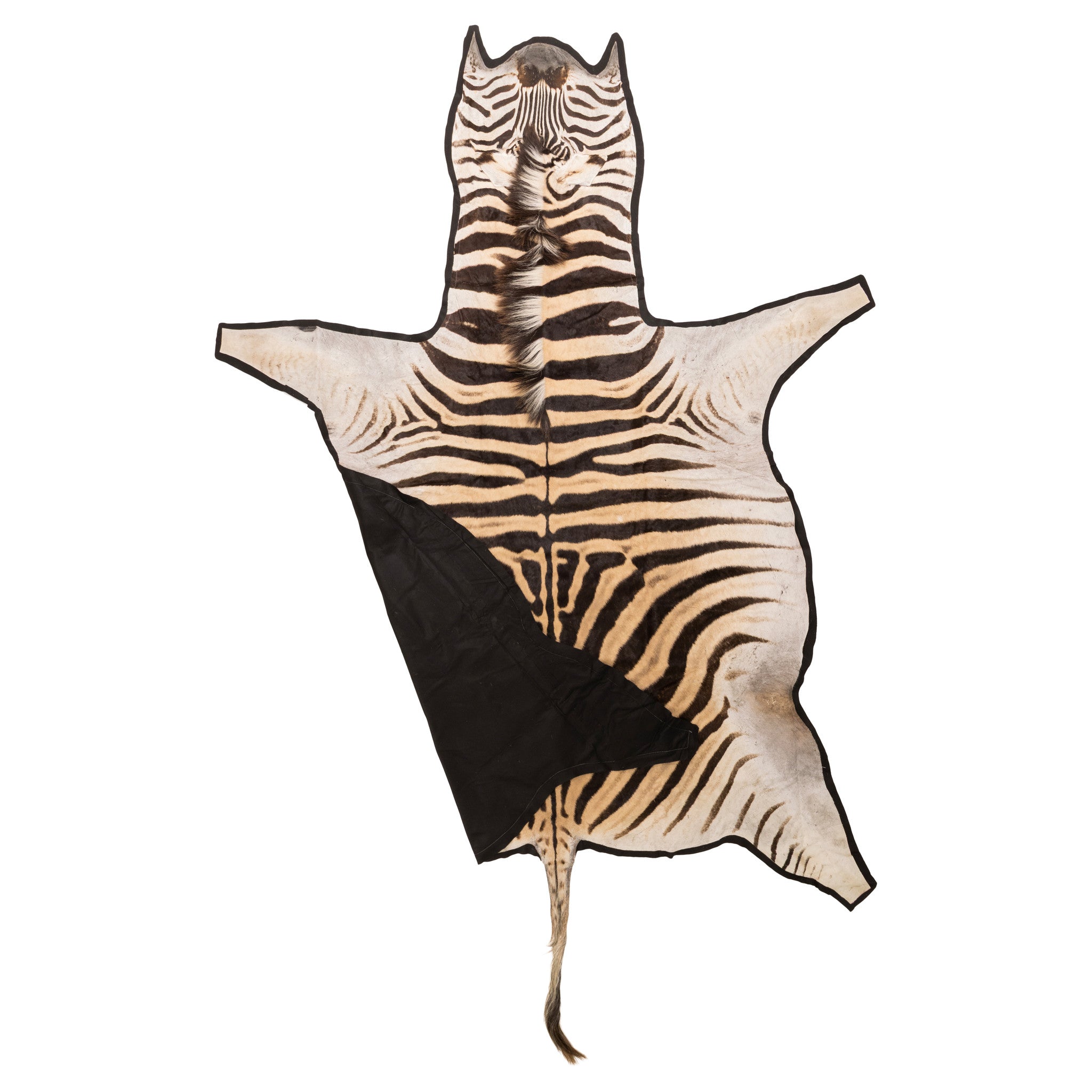 A Grade Zebra Rug