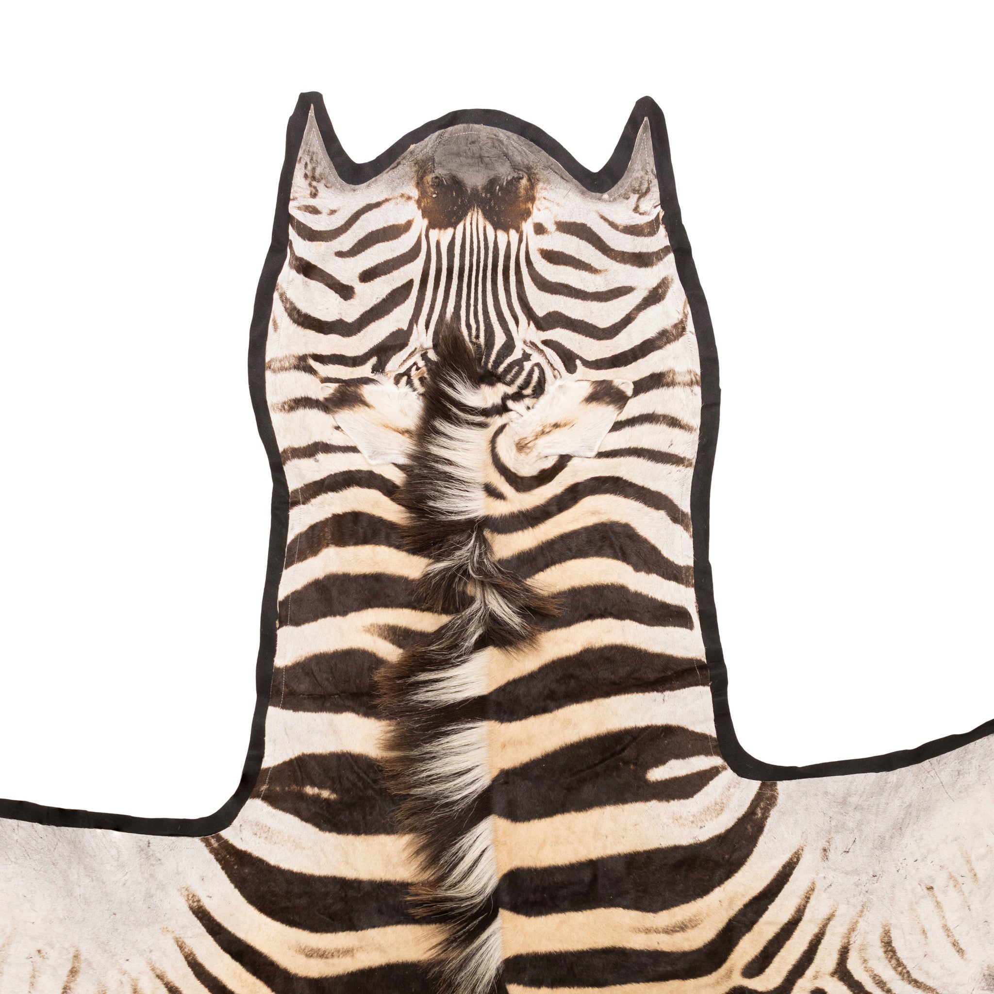 A Grade Zebra Rug